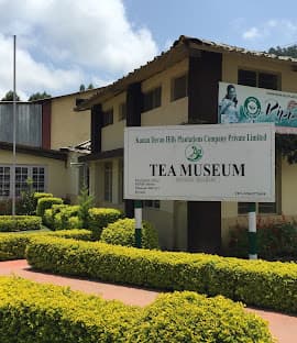 Tea Museum (TATA Tea Museum – Nallathanni)